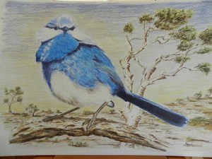 2015-02-04-NeilHammond1