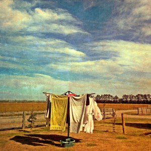 'Rural Canterbury' Pippa Alexy